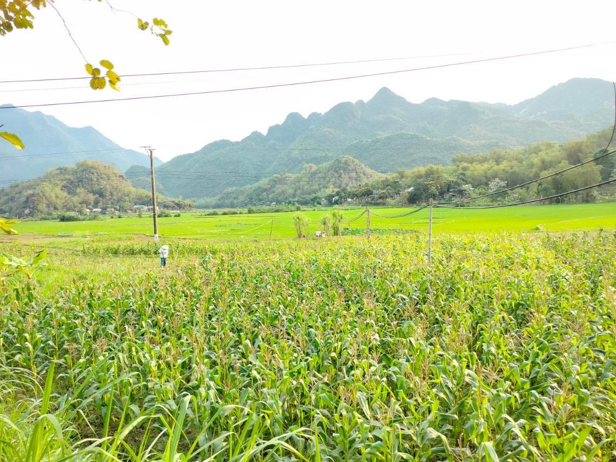 Truong Huy Homestay Mai Châu Exterior foto